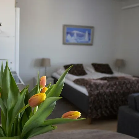 Modern Finnish Studio Appartement